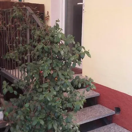 Bed & Breakfast La Sciguetta Magenta